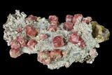 Raspberry, Grossular Garnets and Vesuvianite - Mexico #168315-1
